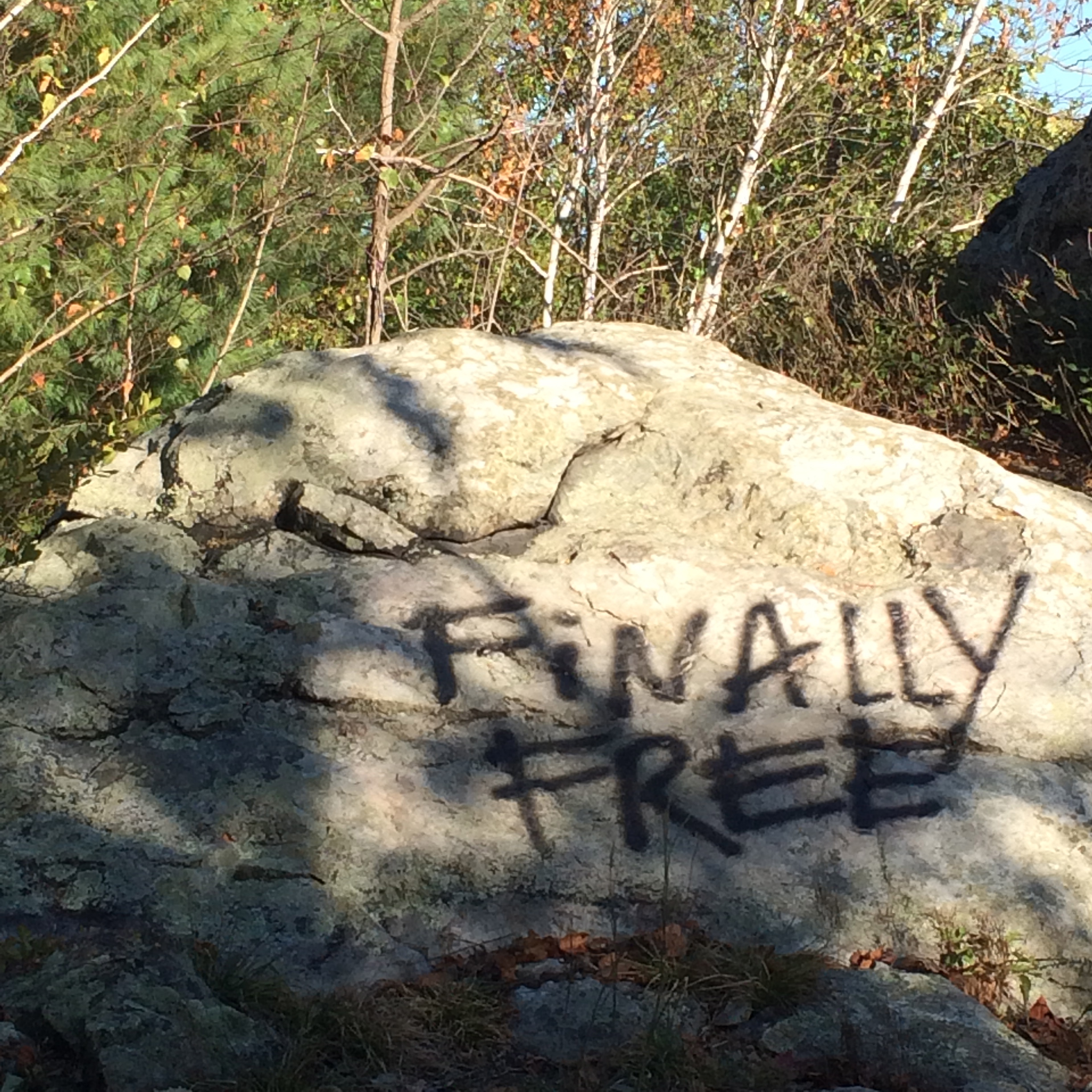 a graffitied rock in breakheart reservation that says "finally free"