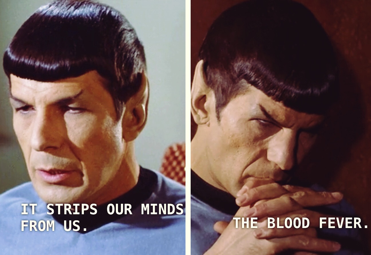 Spock says "It strips our minds from us...the blood fever"