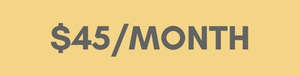 $45 per month