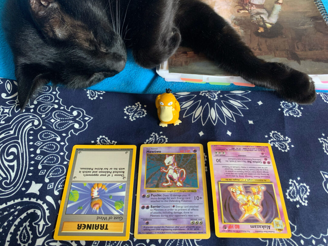 A black cat laying down with a small toy Psyduck and three Pokémon cards laid out like Tarot cards.